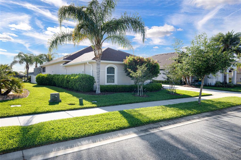 A single-story house with a palm tree, manicured hedges, and a green lawn — 3338 BELLINO BOULEVARD, NEW SMYRNA BEACH, FL