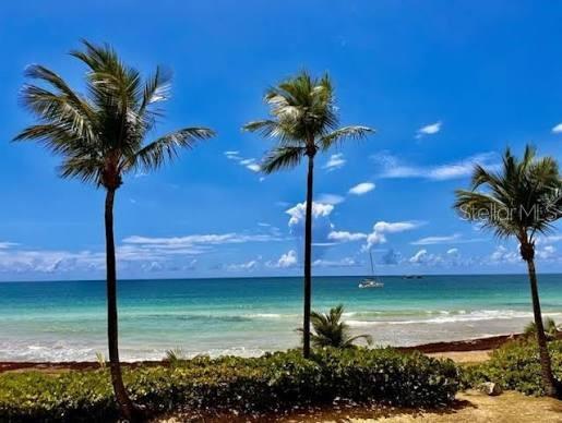 Three palm trees stand in front of a turquoise ocean under a bright blue sky — Palmas del Mar FAIRLAKES VILLAGE UNIT 655, HUMACAO, PR
