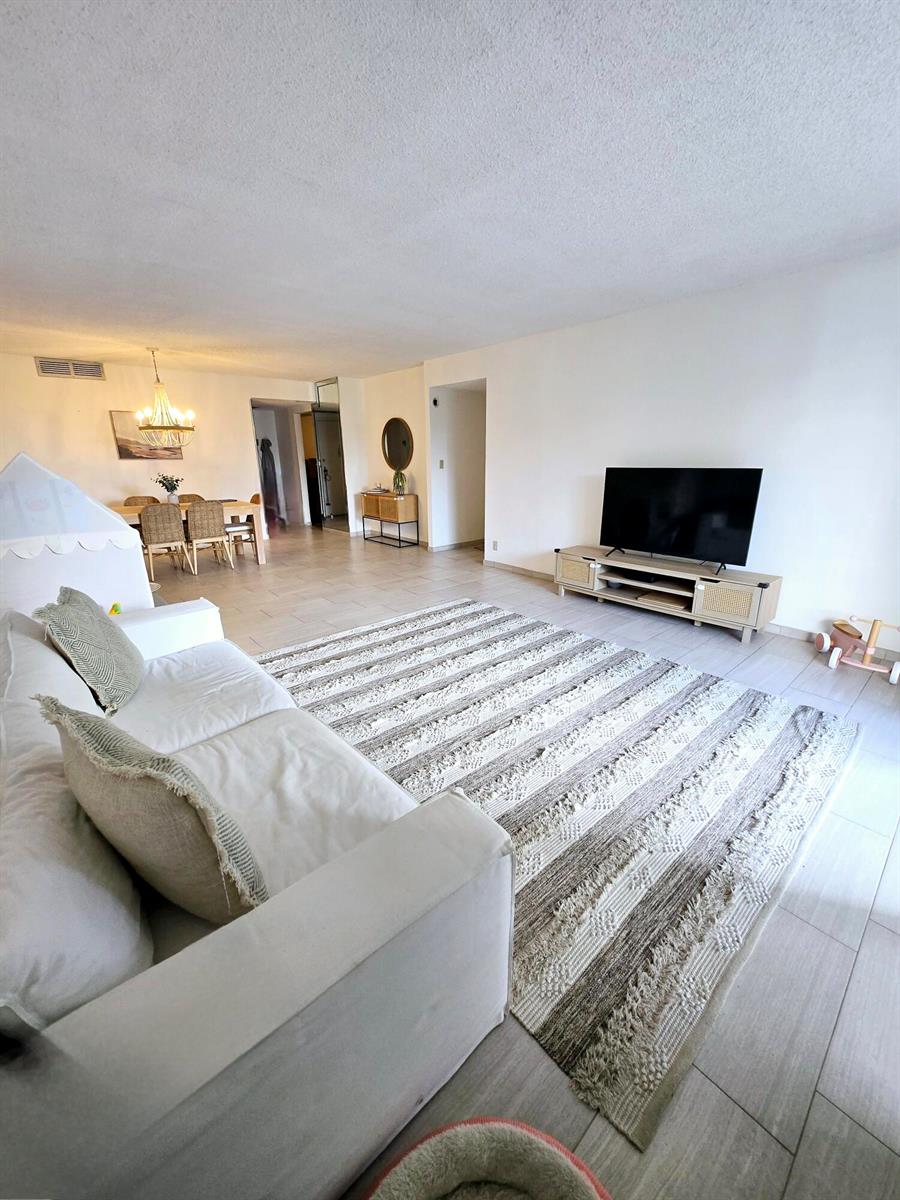 A living room features a white sofa, a striped area rug, and a television console — 2500 Parkview Drive # 412, Hallandale Beach FL 33009, HALLANDALE BEACH, FL