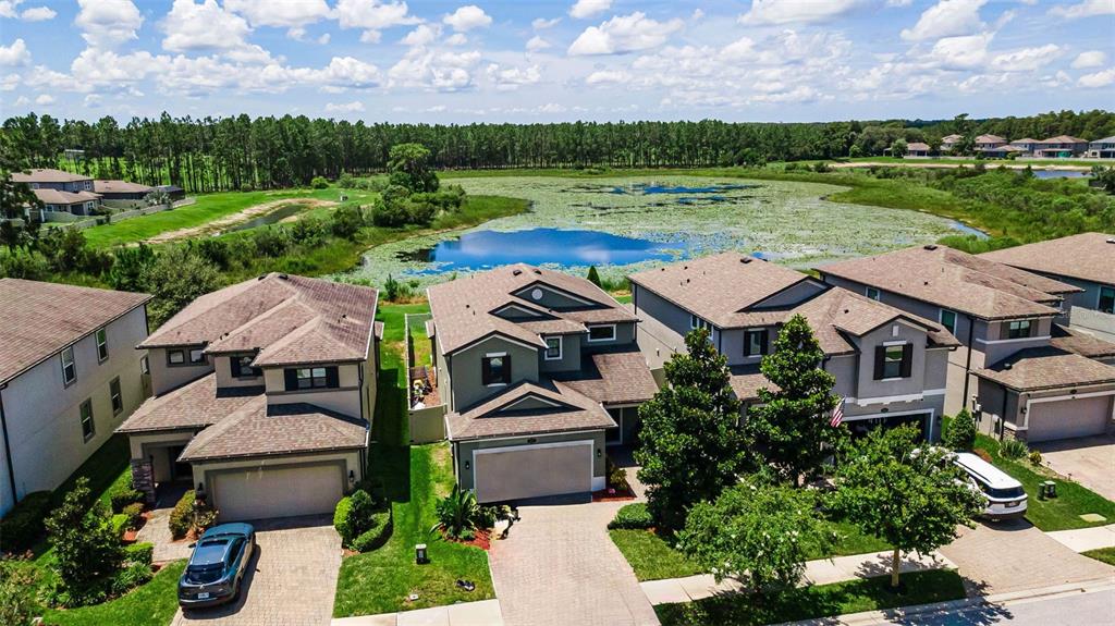 19576 BREYNIA DRIVE, LUTZ, FL — photo 4 of 30