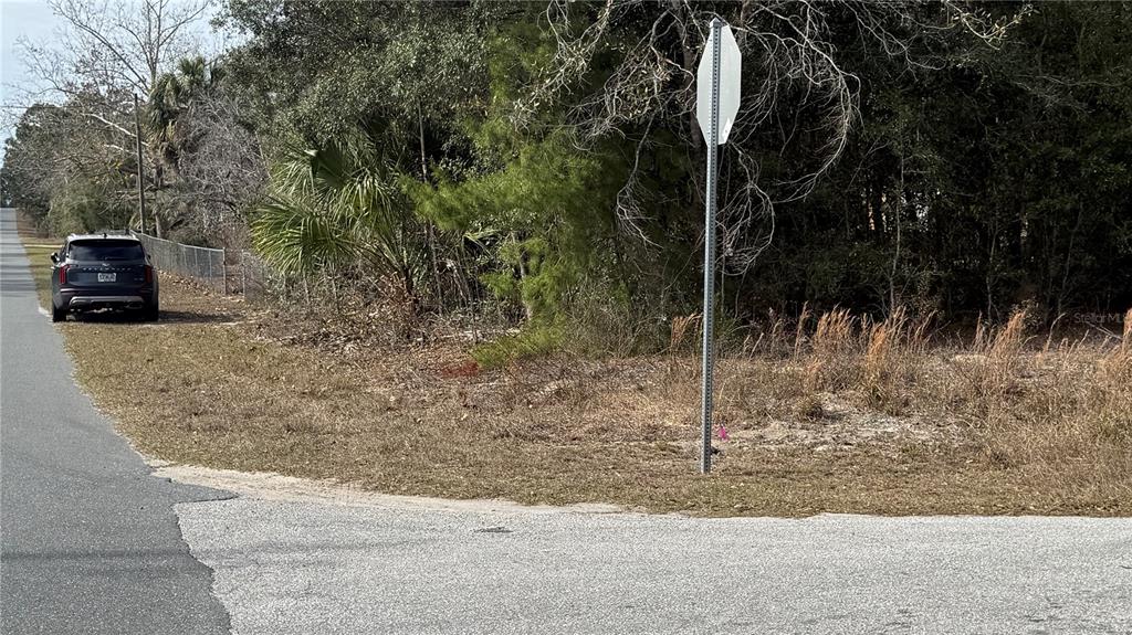 A dark SUV is parked on the shoulder of a road next to a vacant lot — SW BEACH BLVD & SW PORTULACA CT, DUNNELLON, FL