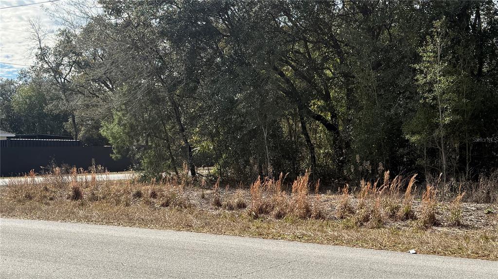 A vacant, wooded lot sits behind a grassy roadside area next to a dark fence — SW BEACH BLVD & SW PORTULACA CT, DUNNELLON, FL