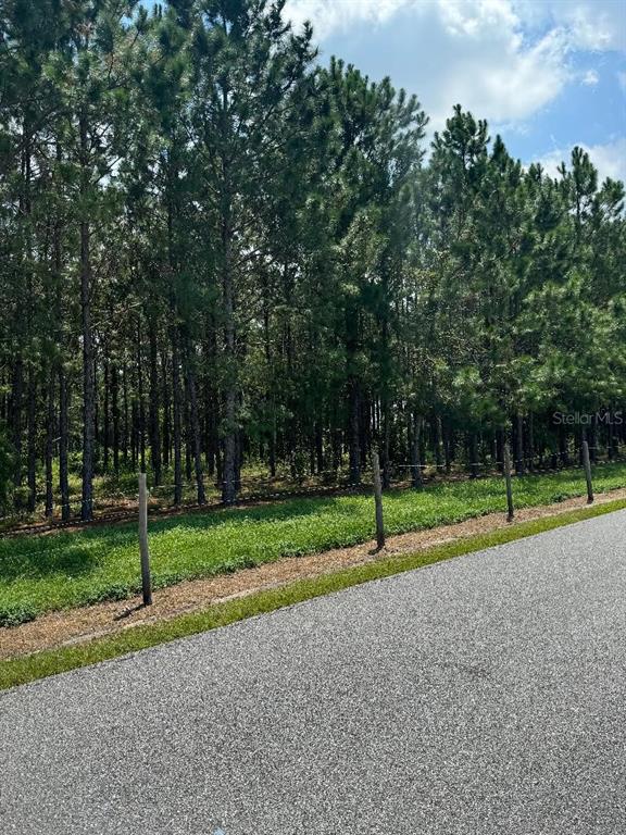 CR 227 ROAD, OXFORD, FL — photo 3 of 3
