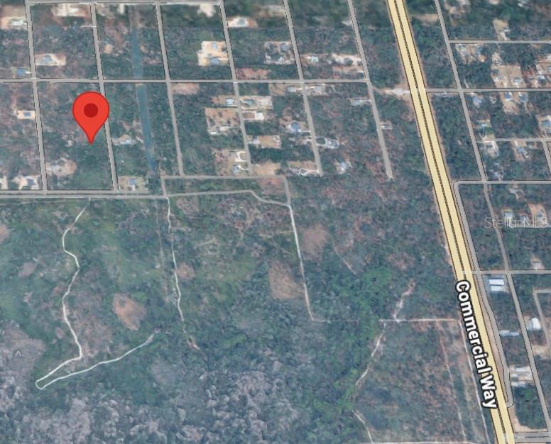This is an aerial map view showing a red location pin on a wooded lot — 18063 RAPIDAN ROAD, WEEKI WACHEE, FL