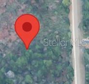 This is a map view showing a red location pin over a wooded lot — 18063 RAPIDAN ROAD, WEEKI WACHEE, FL