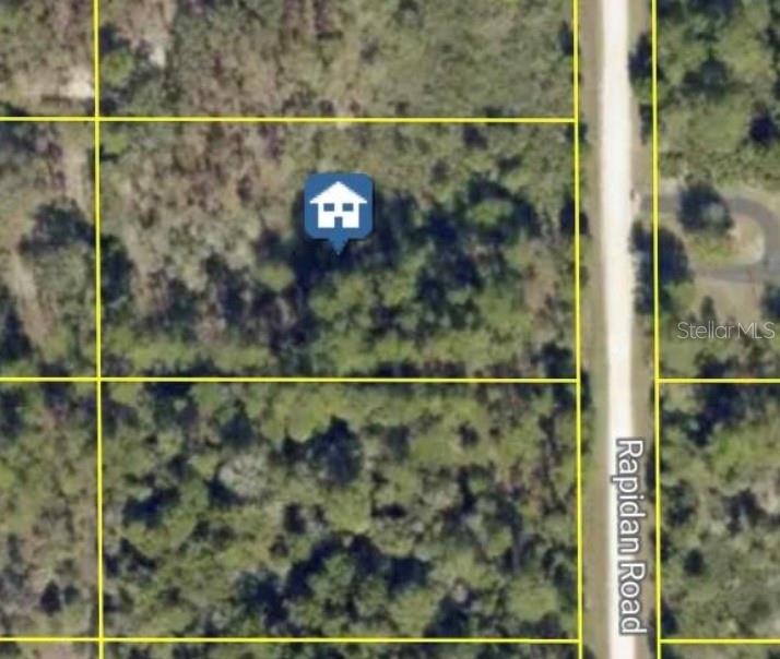 This aerial map shows a vacant, wooded lot outlined in yellow next to Rapidan Road — 18063 RAPIDAN ROAD, WEEKI WACHEE, FL