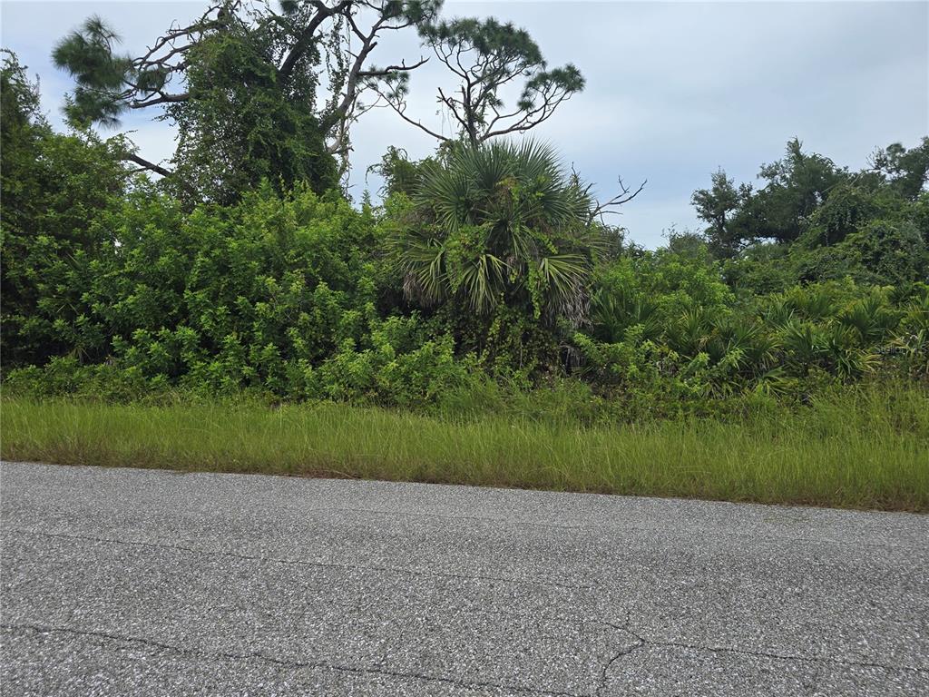 A view of a paved road bordering a dense, overgrown wooded lot with palm trees — 13381 AMARYLLIS CIRCLE, PORT CHARLOTTE, FL