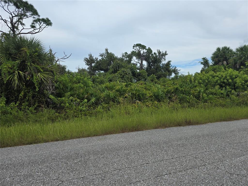 A view of a densely wooded, undeveloped lot bordering an asphalt road — 13381 AMARYLLIS CIRCLE, PORT CHARLOTTE, FL
