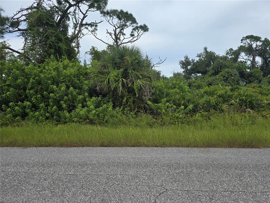 A view of a vacant, heavily wooded lot from the edge of an asphalt road — 13381 AMARYLLIS CIRCLE, PORT CHARLOTTE, FL