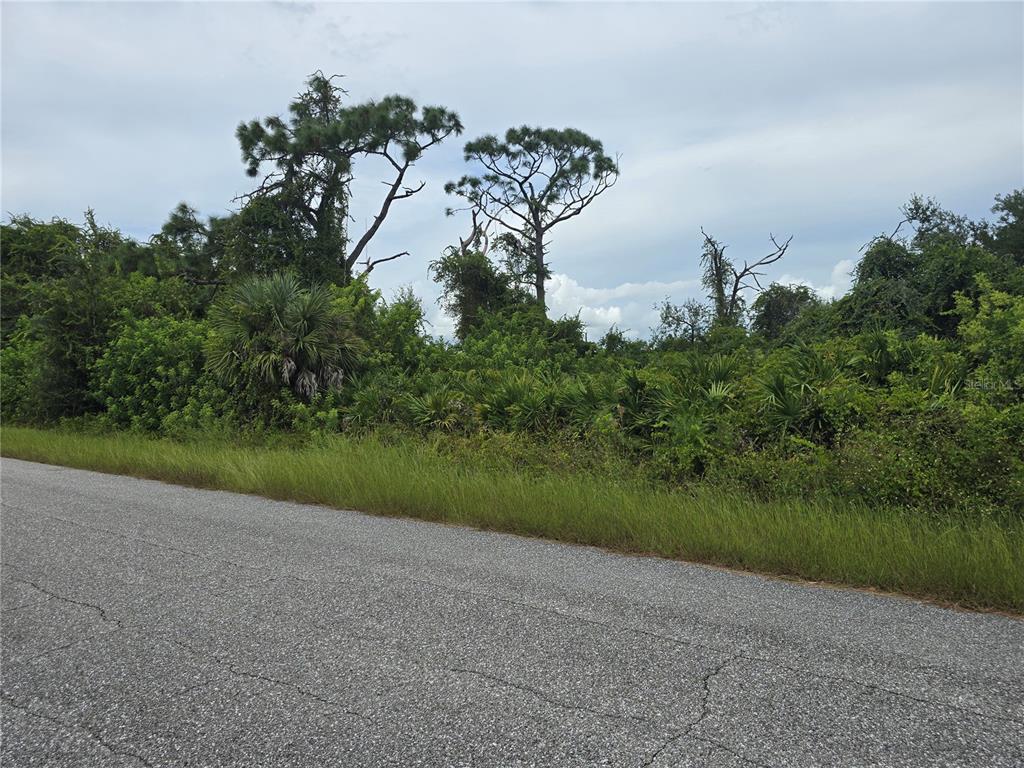 A paved road runs alongside a vacant, heavily wooded lot with tall pine trees — 13381 AMARYLLIS CIRCLE, PORT CHARLOTTE, FL
