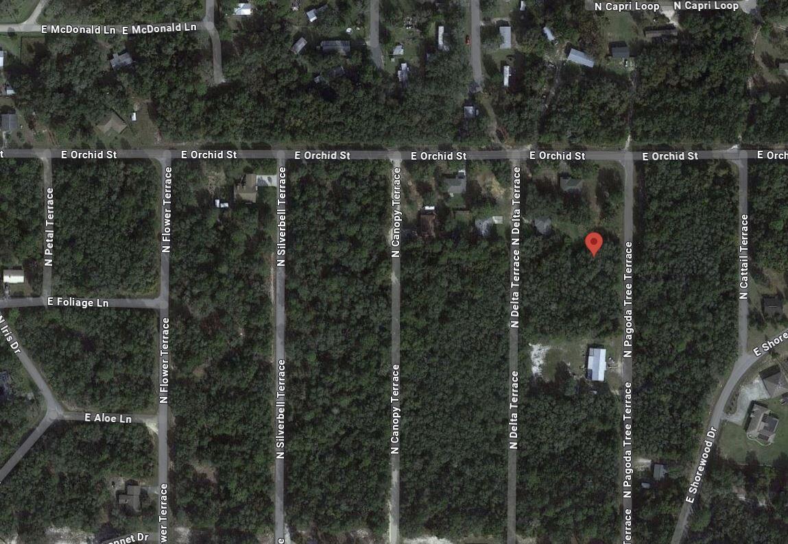 This is an aerial map view of a wooded residential area with several streets — 6634 N Pagoda Tree Terrace, FL 34442, FL