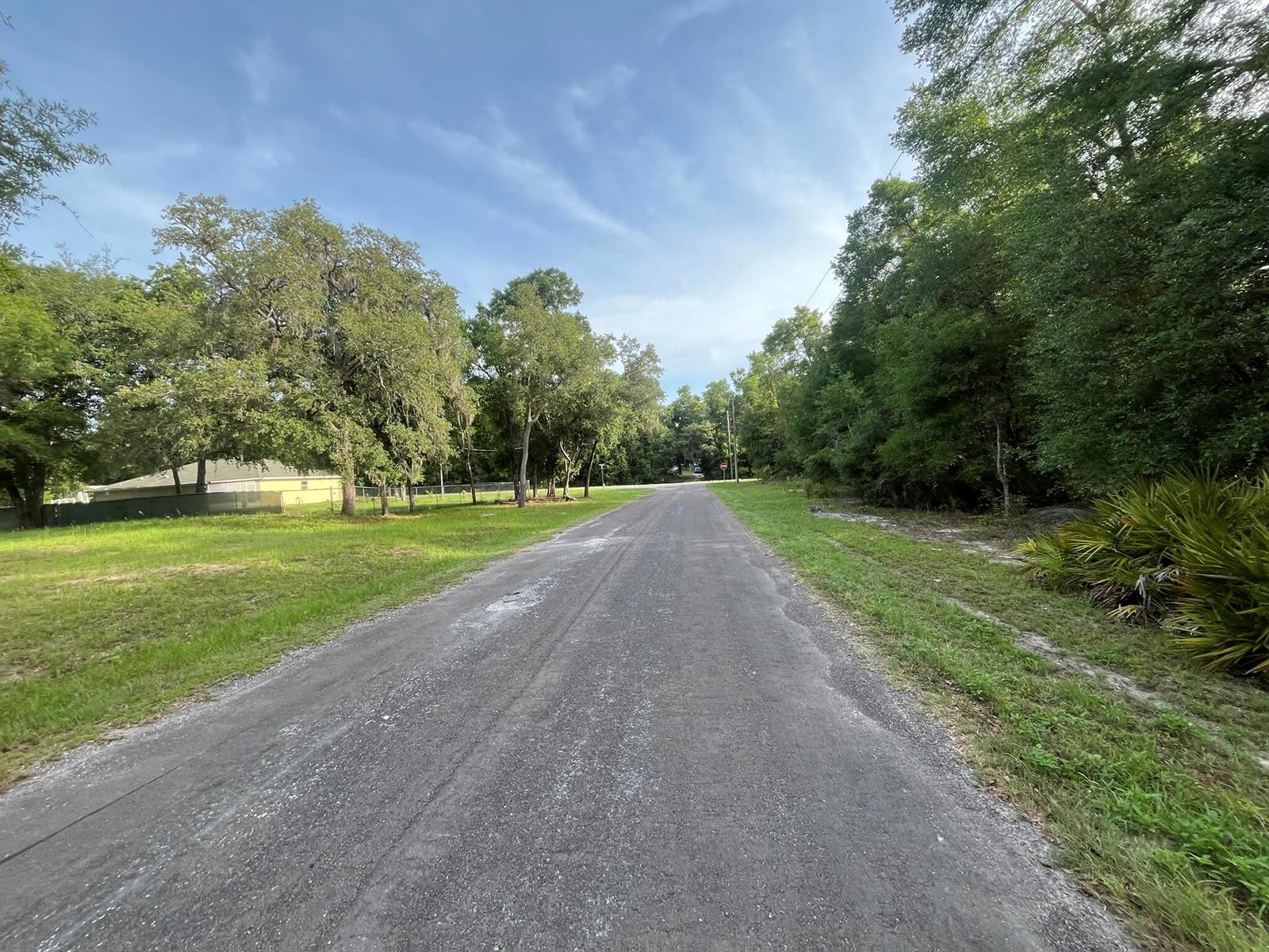 A paved road stretches forward between a grassy lot with trees and a wooded area — 6634 N Pagoda Tree Terrace, FL 34442, FL
