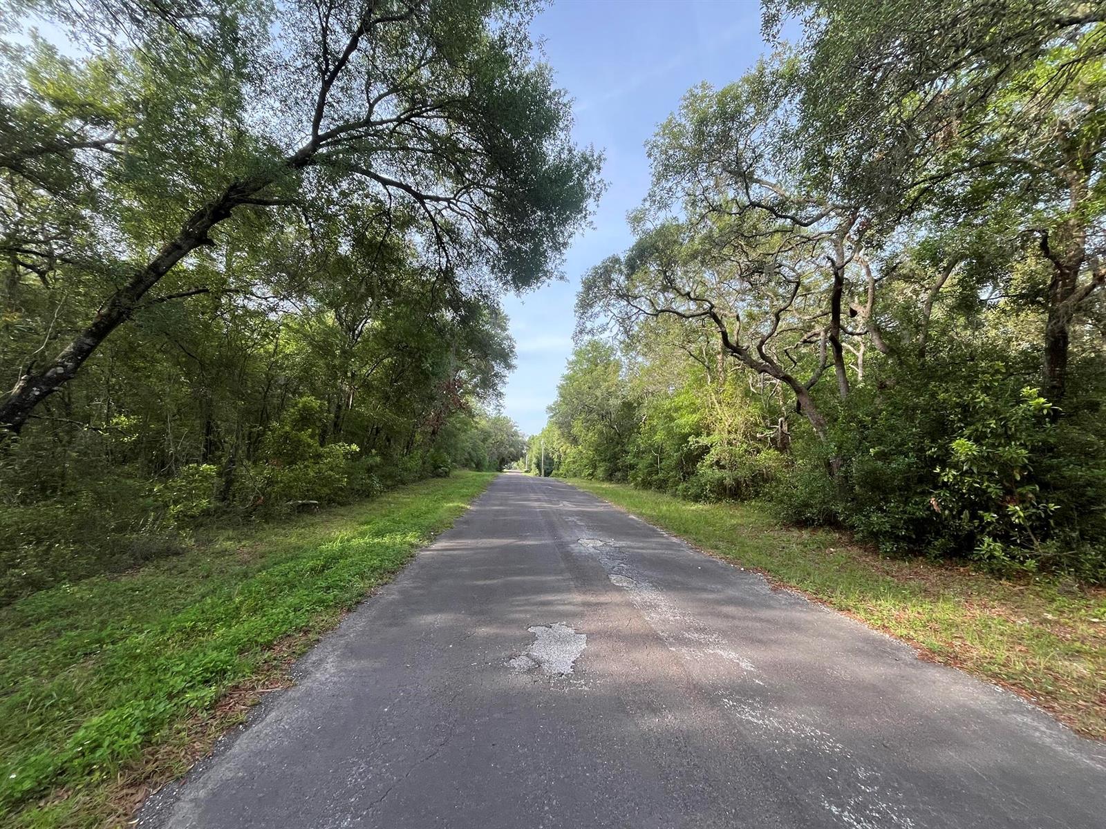 A paved road stretches into the distance, flanked by dense green trees and grassy shoulders — 6634 N Pagoda Tree Terrace, FL 34442, FL