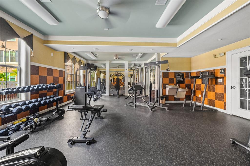 A fitness center with rubber flooring, weight machines, a dumbbell rack, and checkered wall accents — 4221 W SPRUCE STREET UNIT 2423, TAMPA, FL