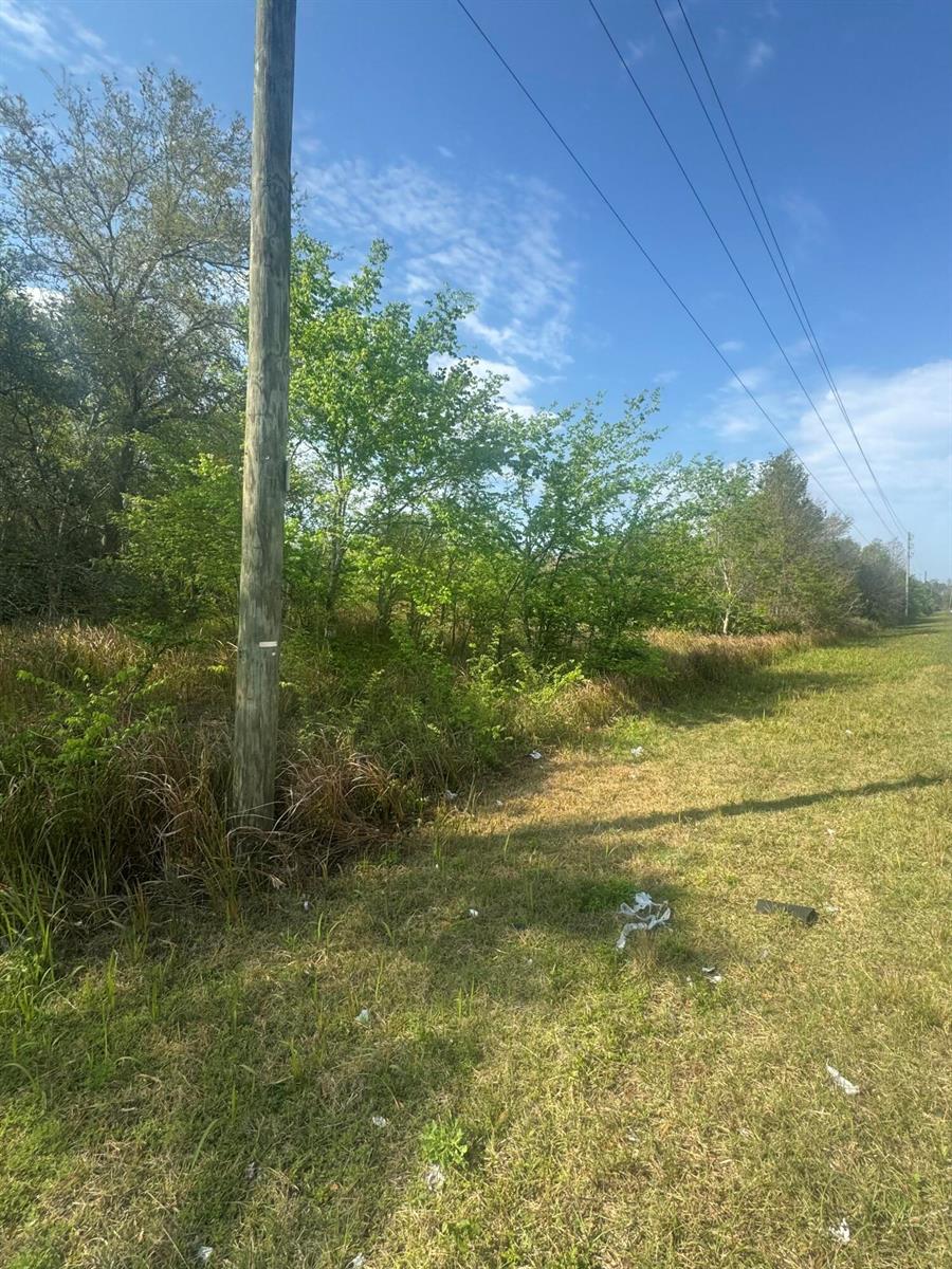 A utility pole stands in a grassy field next to a line of trees — 00 Old Polk City Road, FL 33844, FL