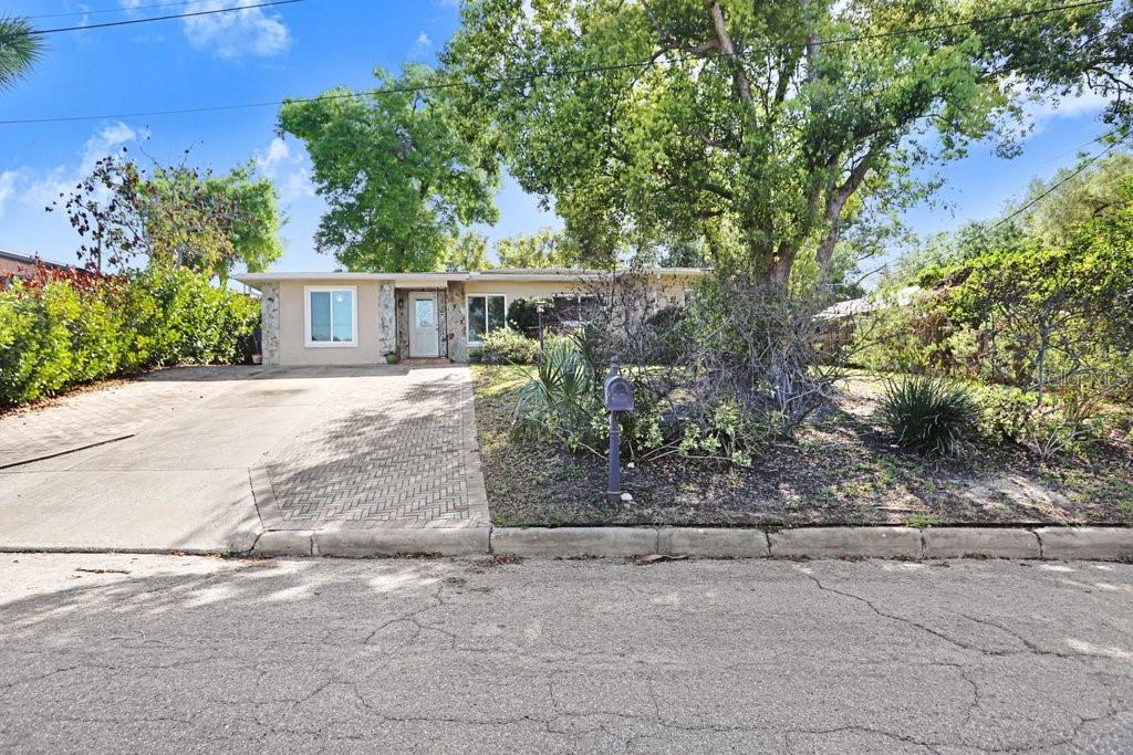 A single-story house with a paved driveway and a large tree in the front yard — 6703 N RIVER BOULEVARD, TAMPA, FL