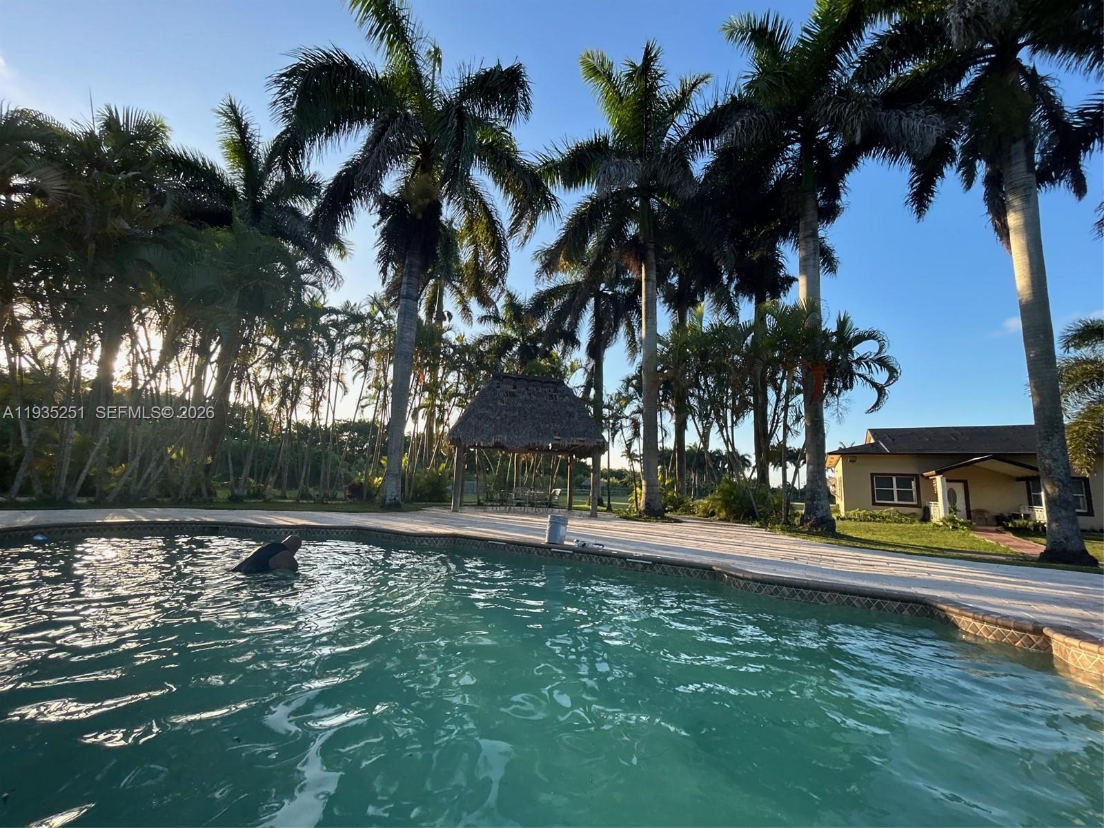 A person swims in a pool near a thatched-roof gazebo and palm trees — 19701 SW 197th Ave, Miami FL 33187, MIAMI, FL