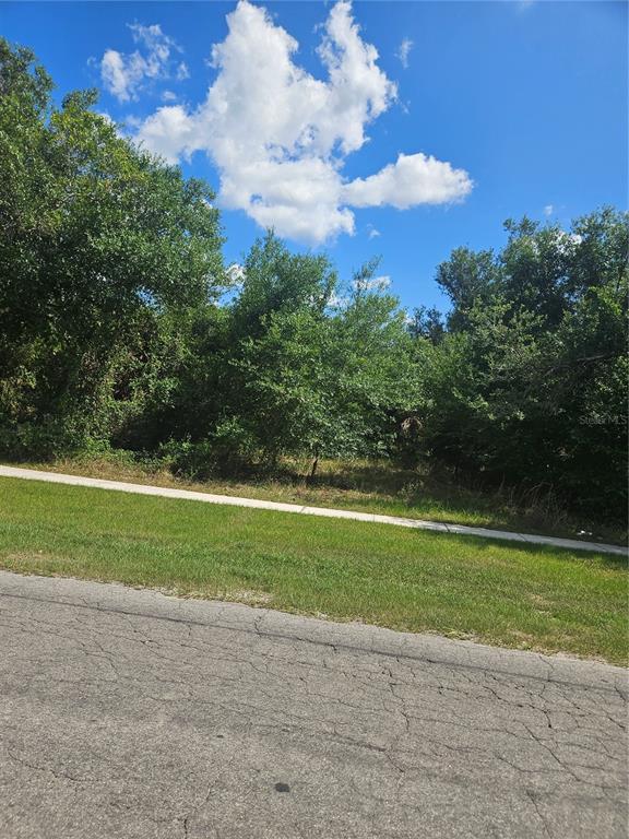 E GIBSON STREET, ARCADIA, FL — photo 3 of 5