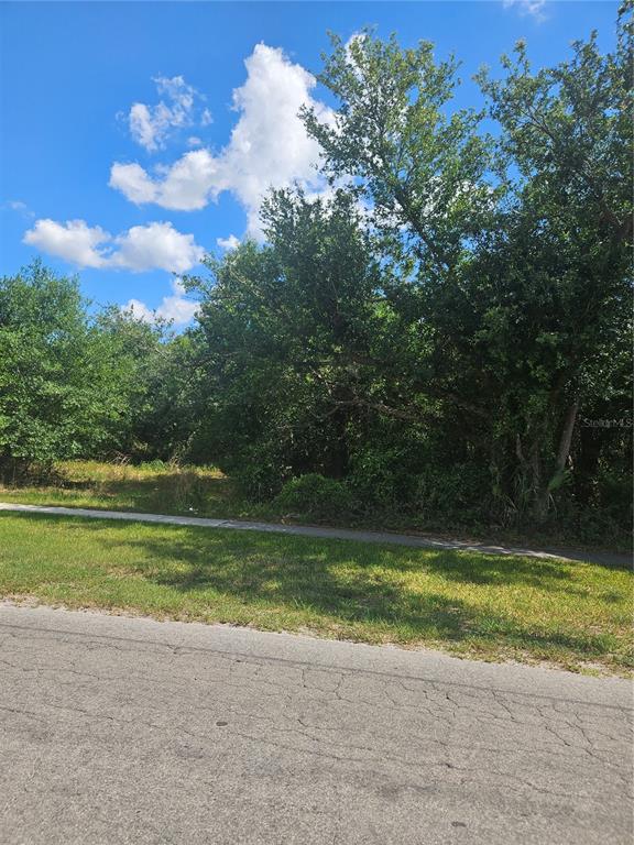 E GIBSON STREET, ARCADIA, FL — photo 4 of 5