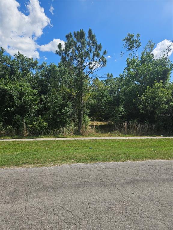 E GIBSON STREET, ARCADIA, FL — photo 5 of 5