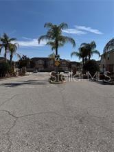 A paved street leads toward palm trees and residential buildings under a clear blue sky — 5051 CACTUS NEEDLE LANE, WESLEY CHAPEL, FL