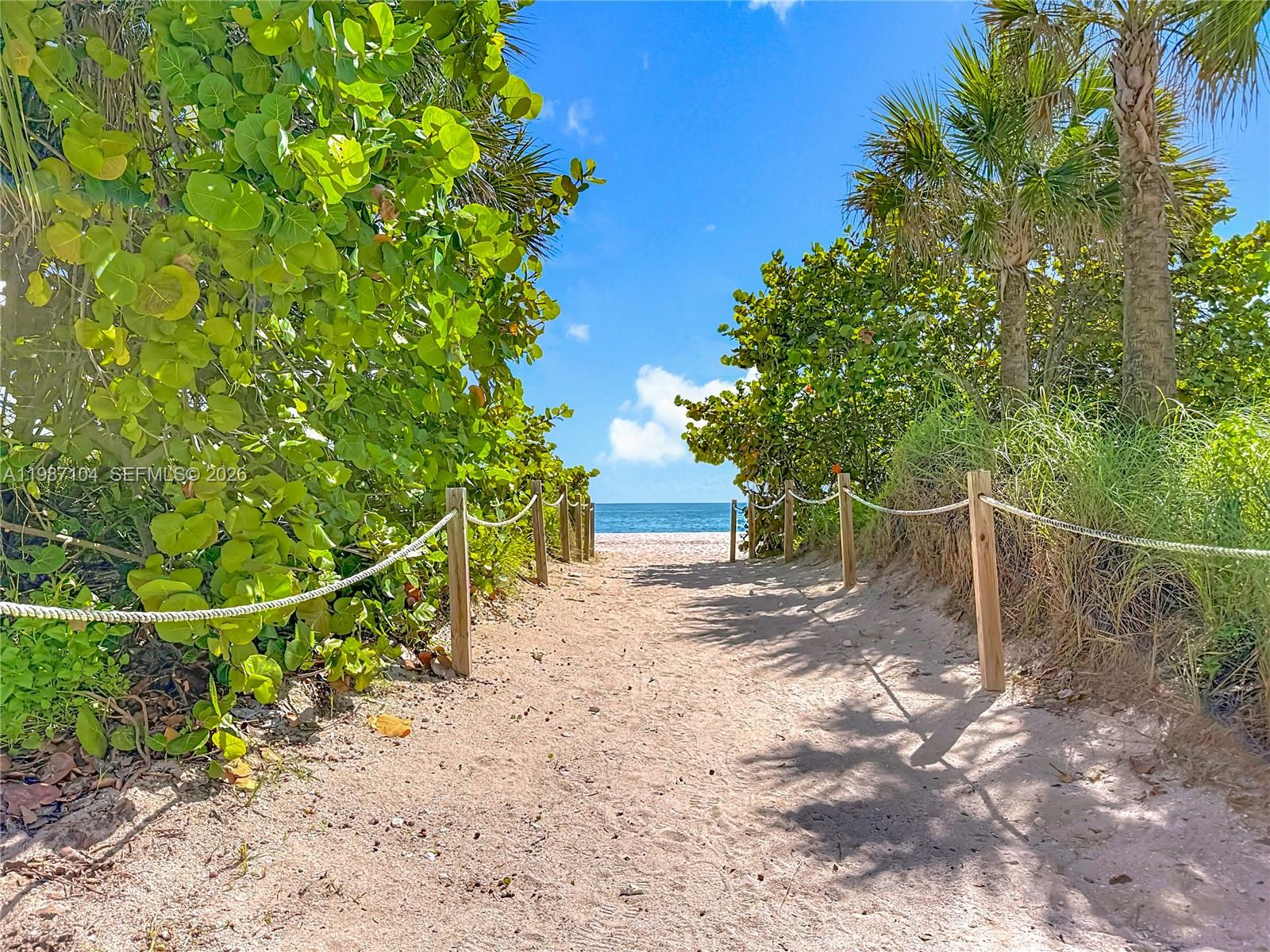 A sandy path lined with rope fencing leads through lush vegetation toward the ocean — 6061 Collins Ave # 12D, Miami Beach FL 33140, MIAMI BEACH, FL