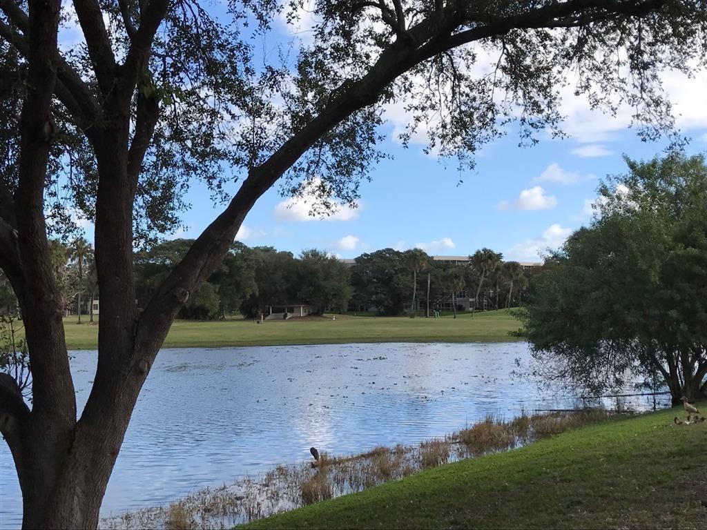 A pond sits in the foreground of a grassy landscape with trees and distant buildings — 4341 W Mcnab Road # 10, Pompano Beach FL 33069, POMPANO BEACH, FL