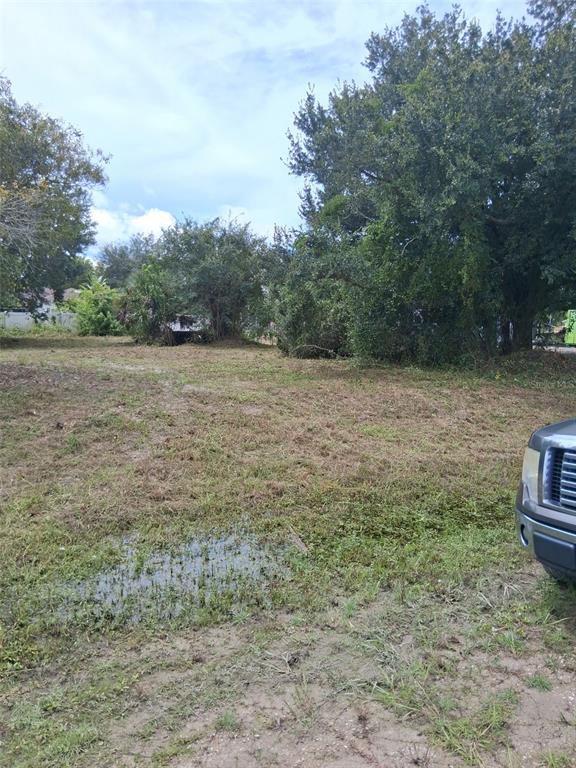 A grassy, partially cleared vacant lot with trees and a small puddle in the foreground — 14070 CARLOS STREET, FORT MYERS, FL