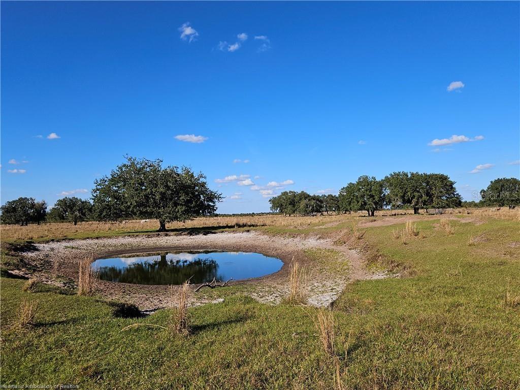 A small pond sits in a grassy field with scattered trees under a blue sky — 320 GRIGSBY ROAD, VENUS, FL