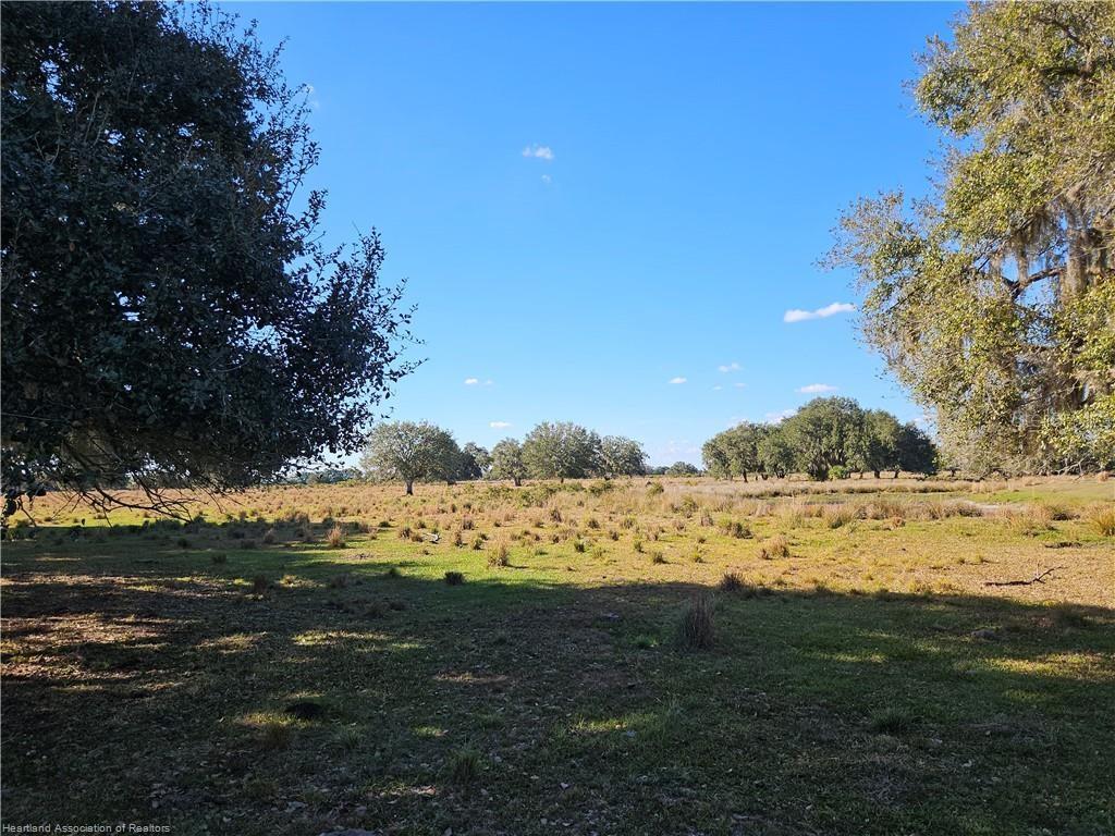 A grassy, open field features scattered trees under a clear blue sky — 320 GRIGSBY ROAD, VENUS, FL