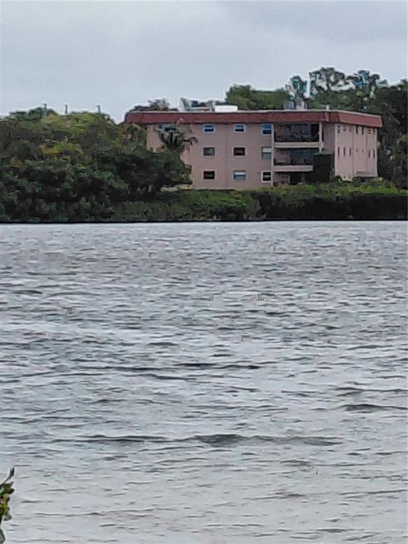 1723 GULF ROAD UNIT 301, TARPON SPRINGS, FL — photo 3 of 12