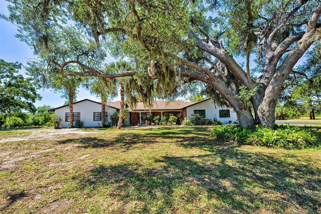 A single-story white house sits behind a large oak tree with Spanish moss — 1061 OWL DRIVE, ENGLEWOOD, FL