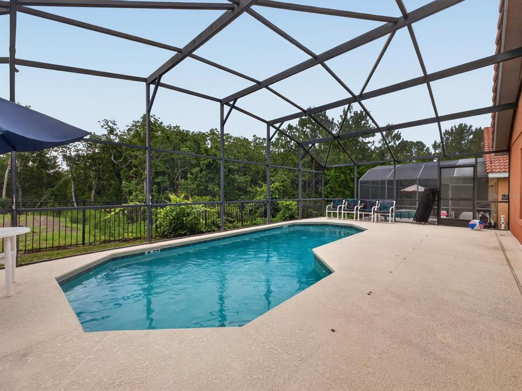 A screened-in swimming pool with a concrete deck and a view of surrounding trees — 554 PALOMA DRIVE, DAVENPORT, FL