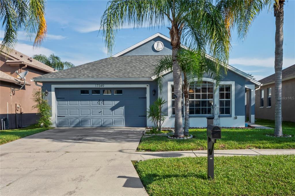 17349 LAWN ORCHID LOOP