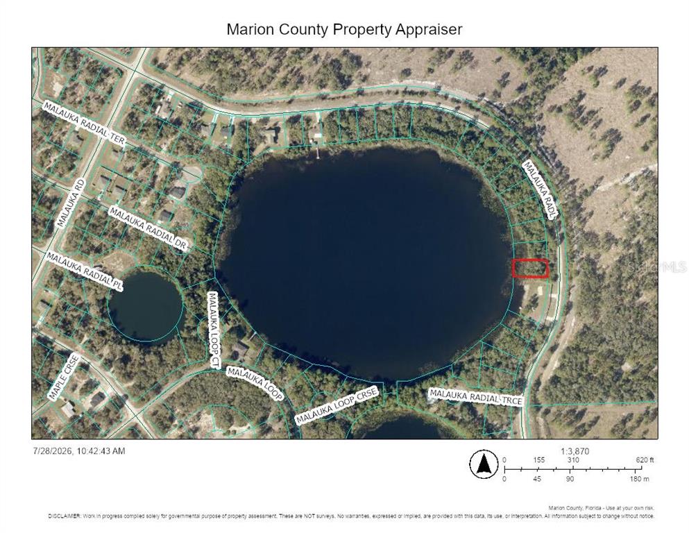 This is a property map showing a parcel of land adjacent to a lake — TBD MALAUKA RADIAL, OCKLAWAHA, FL