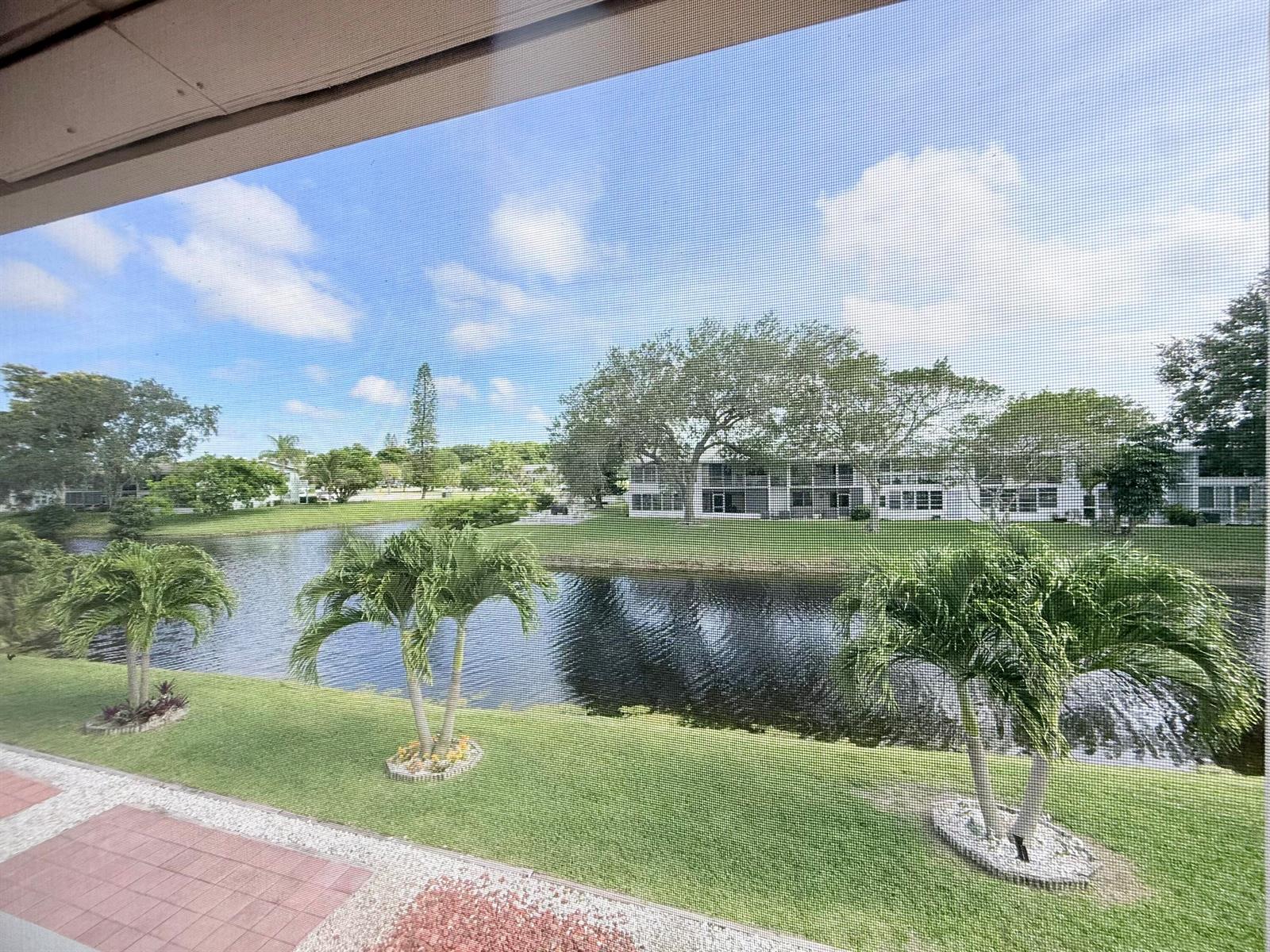A view of a pond and palm trees from behind a screened-in patio — 165 Tilford H # 165, Deerfield Beach FL 33442, DEERFIELD BEACH, FL