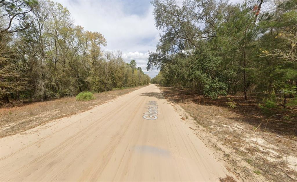 A dirt road stretches through a wooded area under a partly cloudy sky — 523 GLORIA AVENUE, INTERLACHEN, FL