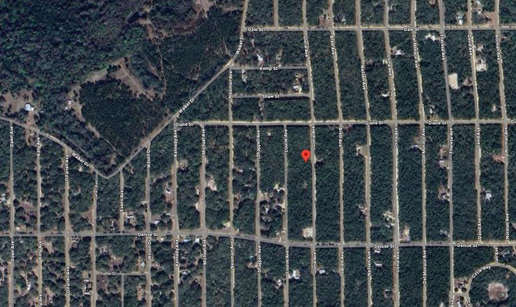 This is an aerial map view of a wooded residential area with marked street names — 523 GLORIA AVENUE, INTERLACHEN, FL