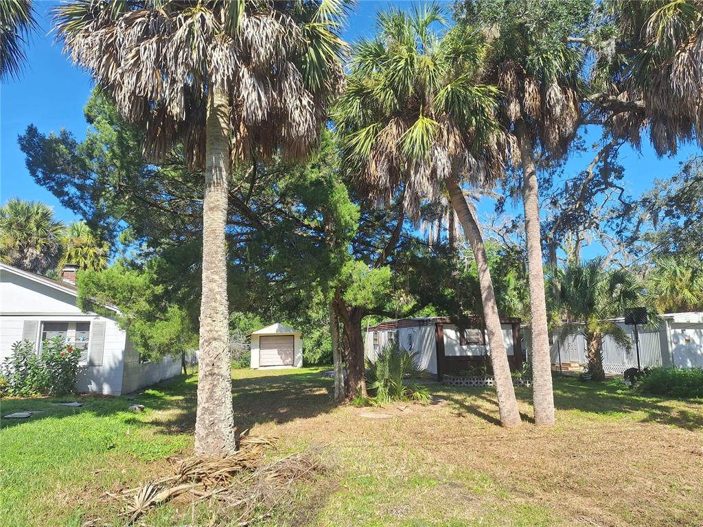 A grassy yard features several tall palm trees, a small shed, and two residential buildings — 6501 WERNER AVENUE, NEW PORT RICHEY, FL