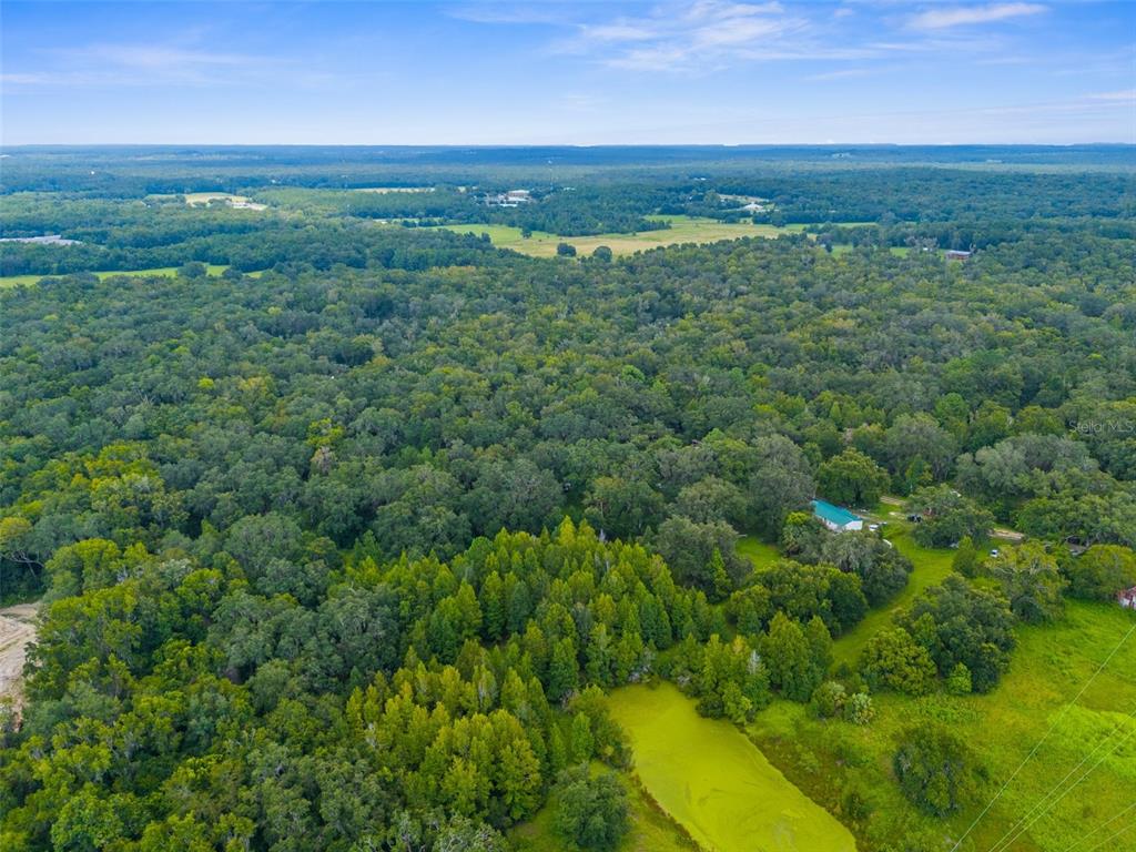 RAIN FOREST ROAD, BROOKSVILLE, FL — photo 4 of 11