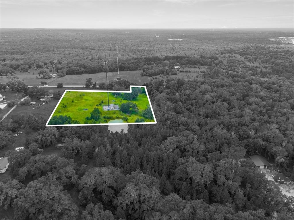 RAIN FOREST ROAD, BROOKSVILLE, FL — photo 5 of 11