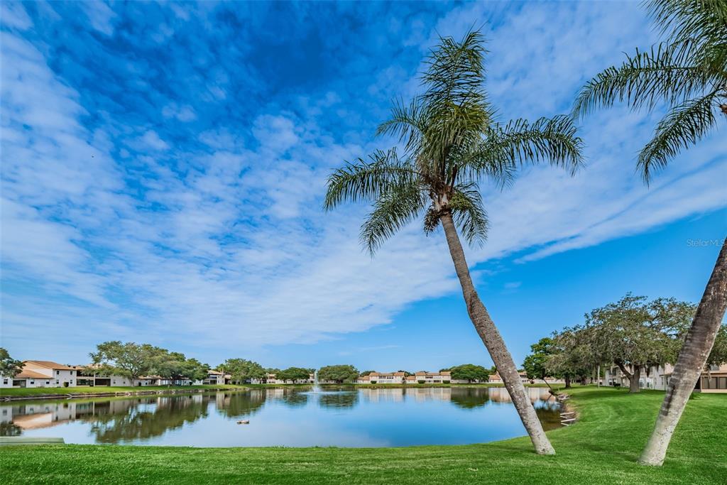 A palm tree stands on a grassy lawn overlooking a pond with a fountain — 1022 BOWSPRIT LANE UNIT 1022, HOLIDAY, FL