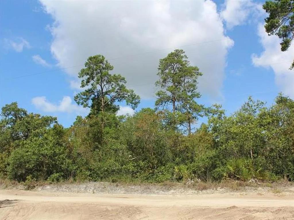A dirt road runs in front of a dense, wooded lot with tall pine trees — 2635 LEONARD DRIVE, DELTONA, FL