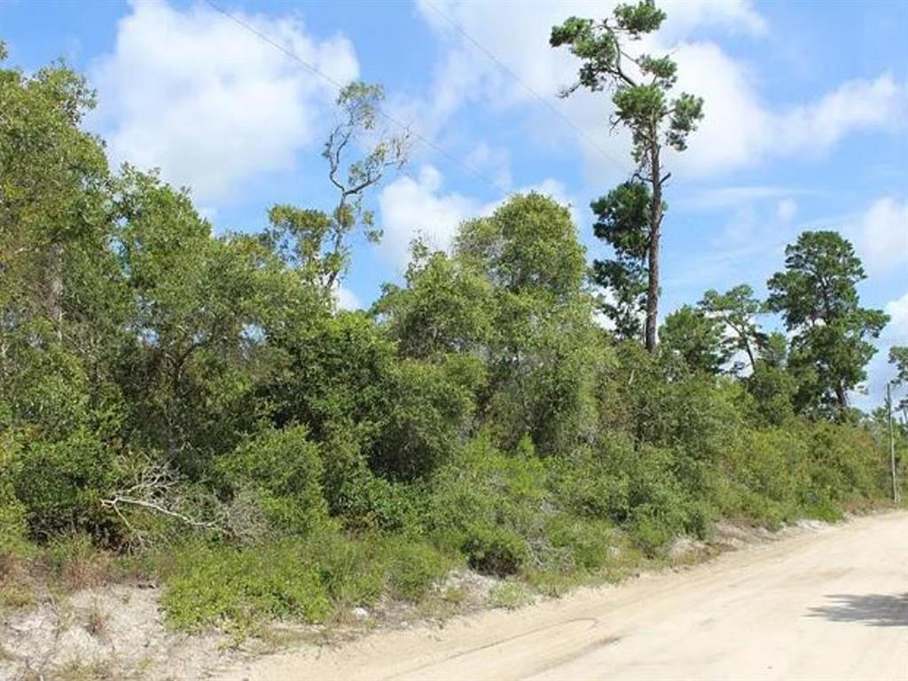 A dirt road runs alongside a dense, wooded lot with several tall pine trees — 2635 LEONARD DRIVE, DELTONA, FL