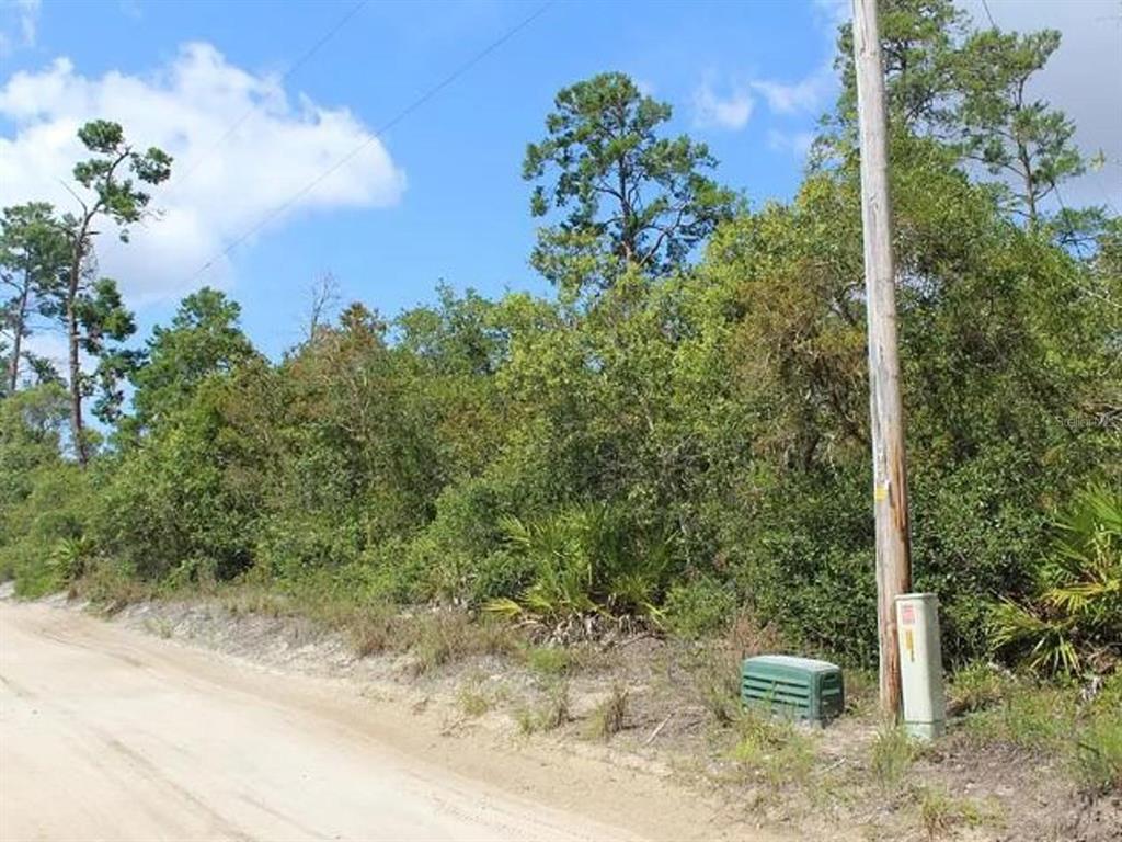 A dirt road runs alongside a wooded lot with a utility pole and electrical box — 2635 LEONARD DRIVE, DELTONA, FL