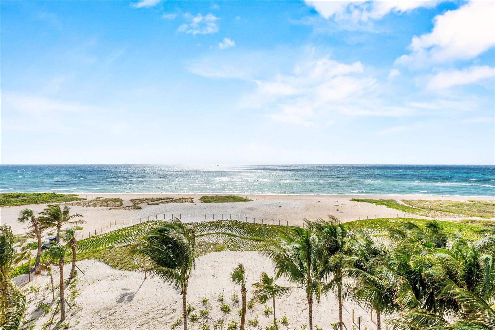 An elevated view of a sandy beach with palm trees and the ocean under a sky — 900 N Ocean Boulevard # 505, Pompano Beach FL 33062, POMPANO BEACH, FL