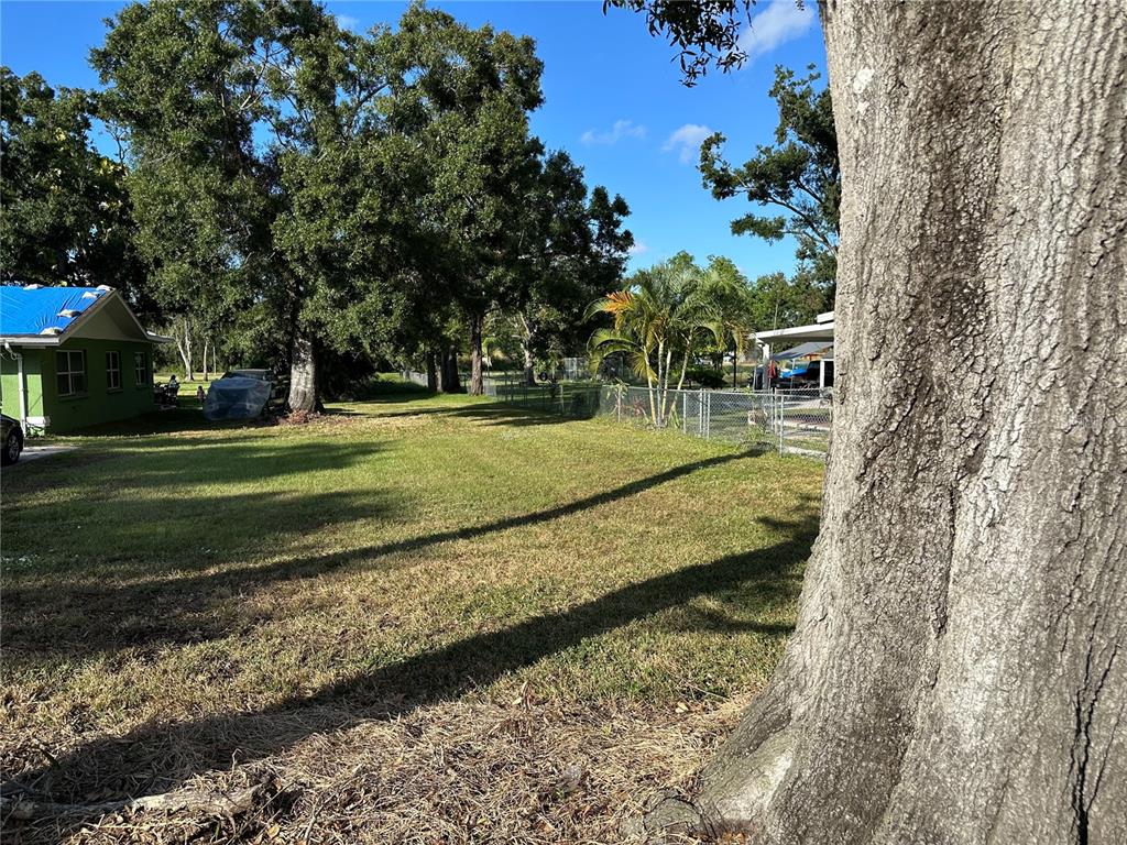 A large, grassy backyard features mature trees, a chain-link fence, and a nearby house — 302 12TH STREET W, PALMETTO, FL