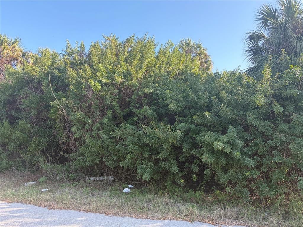 A dense thicket of green shrubs and trees borders the edge of a paved road — 14491 RANSOM AVENUE, PORT CHARLOTTE, FL