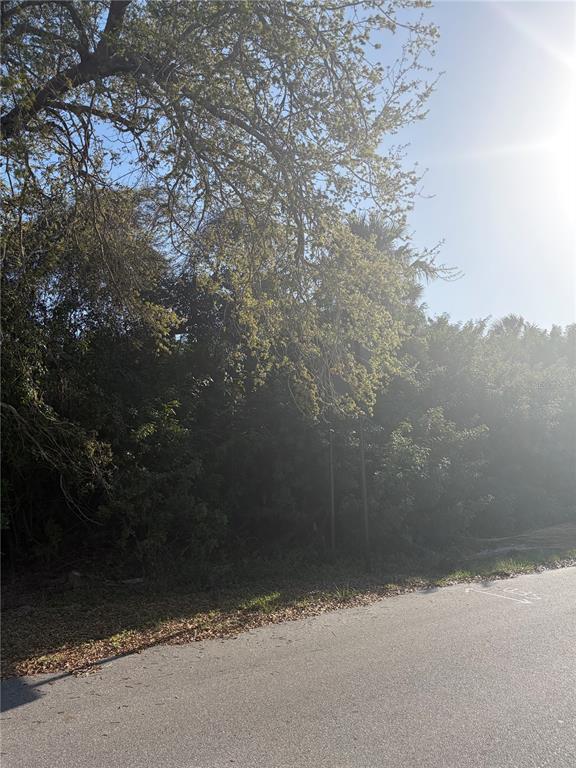 A view of a wooded, undeveloped lot from the edge of an asphalt road — 14491 RANSOM AVENUE, PORT CHARLOTTE, FL