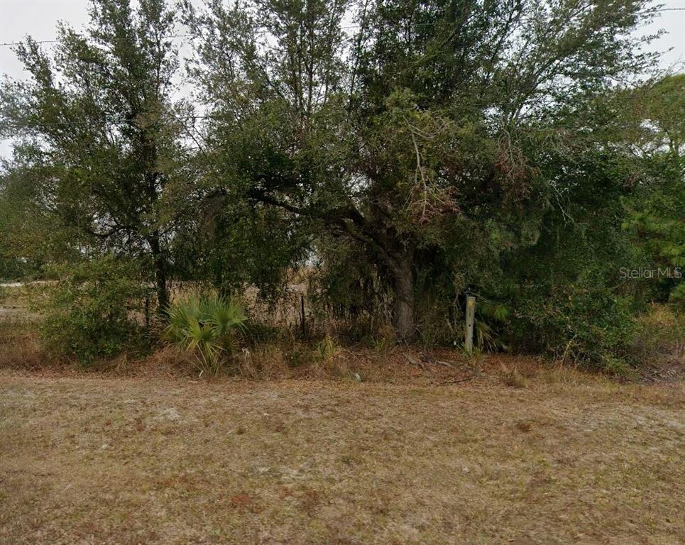 A grassy foreground leads to a line of mature trees and a wire fence — 13315 GREEN GULF BOULEVARD, PUNTA GORDA, FL